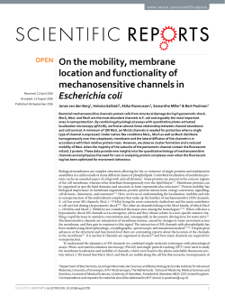 On the mobility, membrane location and functionality of