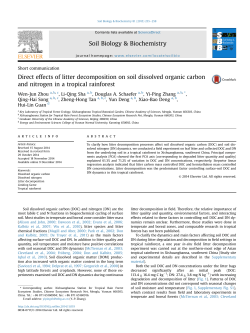 Direct effects of litter decomposition on soil dissolved