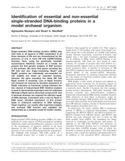 Identification of essential and non-essential single