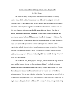 Habitat-based dactyl morphology of three native Oregon crabs By