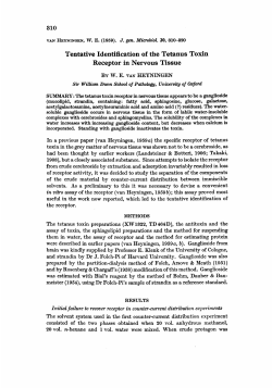 Tentative Identification of the Tetanus Toxin Receptor in Nervous