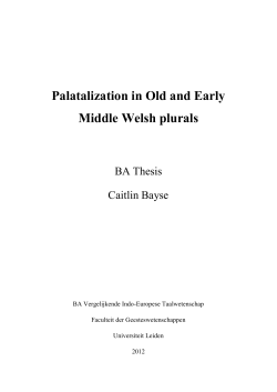 Palatalization in Old and Early Middle Welsh plurals