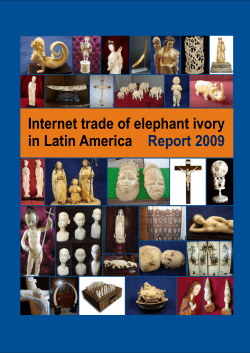 ATCA report 2010: Internet trade of elephant ivory in Latin America