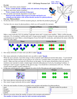 CEP &ndash; Cell Energy Processes Lab Pre
