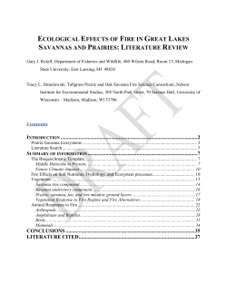 Ecological effects of fire in Great Lakes savannas and prairies