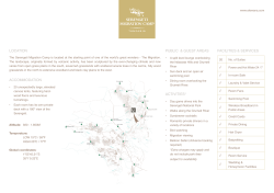 Serengeti Migration camp