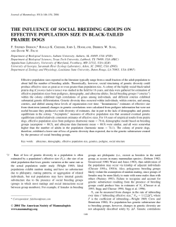 the influence of social breeding groups on effective population size