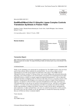 Rad8Rad5/Mms2-Ubc13 Ubiquitin Ligase Complex Controls