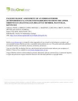 paleoecologic assessment of an edrioasteroid