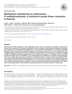 PDF - Oxford Academic - Oxford University Press