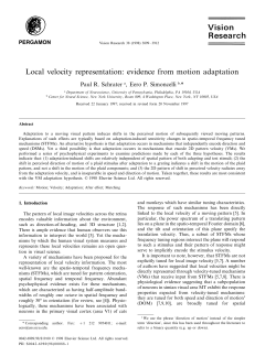 Local velocity representation: evidence from motion adaptation