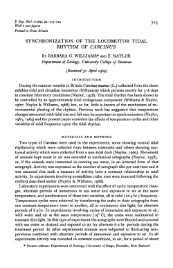 synchronization of the locomotor tidal rhythm of carcinus