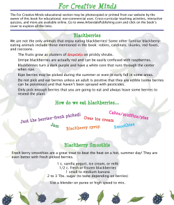 For Creative Minds - Arbordale Publishing