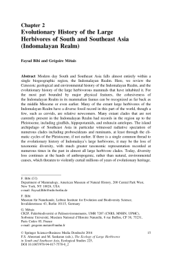Evolutionary History of the Large Herbivores of South and Southeast