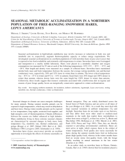 seasonal metabolic acclimatization in a northern