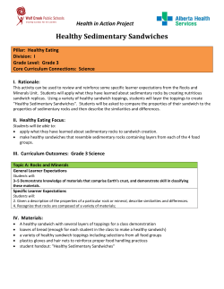 Healthy Sedimentary Sandwiches