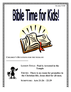 LESSON TITLE: Paul is Arrested in the Temple THEME: There is no