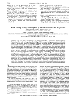 RNA Folding during Transcription by Escherichia coli RNA