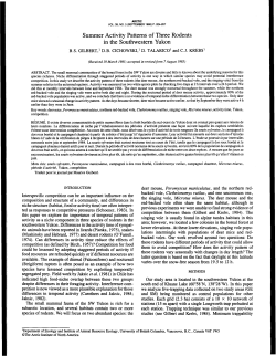 Summer Activity Patterns of Three Rodents in the Southwestern Yukon