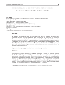 39 THE BIRDS OF P&Aacute;RAMO DE FRONTINO, WESTERN ANDES OF