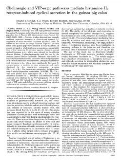 Cholinergic and VIP-ergic pathways mediate histamine