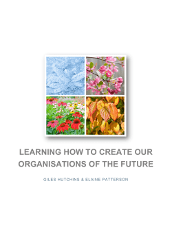 2017.01.27 Learning How to Create Our Organizations of the Future