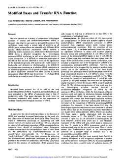 Modified Bases and Transfer RNA Function