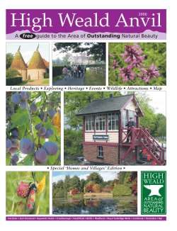 Anvil 2006 - the High Weald