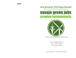 Navajo Green Jobs Toolkit