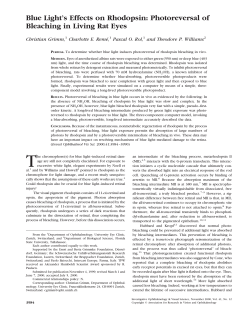 Blue Light`s Effects on Rhodopsin: Photoreversal of Bleaching in