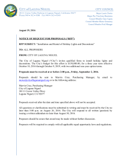 RFP_Installation and Rental of Holiday Lights
