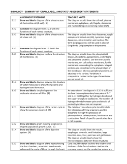 IB BIOLOGY&mdash;SUMMARY OF &ldquo;DRAW, LABEL, ANNOTATE
