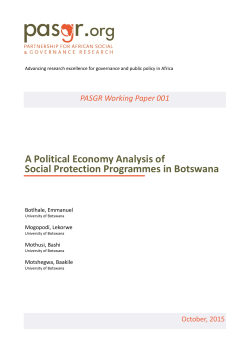 A Political Economy Analysis of Social Protection