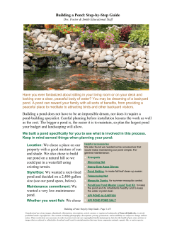 Building a Pond: Step-by-Step Guide