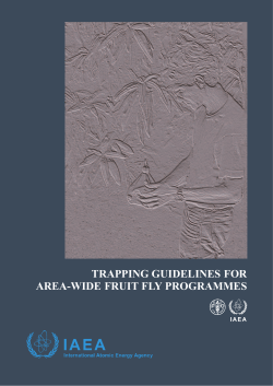 Fruit fly trapping guide