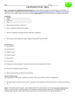 Frog Dissection Worksheet