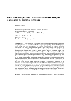 PDF only - at www.arxiv.org.