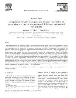 Comparison between macaques` and humans` kinematics of