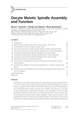 Oocyte Meiotic Spindle Assembly and Function