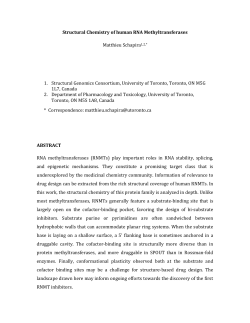 Structural Chemistry of human RNA Methyltransferases Matthieu