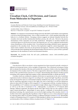 Circadian Clock, Cell Division, and Cancer: From Molecules to