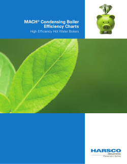 MACH&reg; Condensing Boiler Efficiency Charts