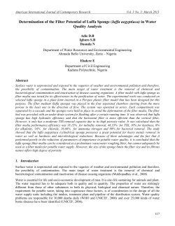 Determination of the filter potential of Luffa sponge in water quality