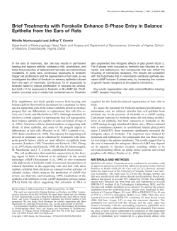 Brief Treatments with Forskolin Enhance S