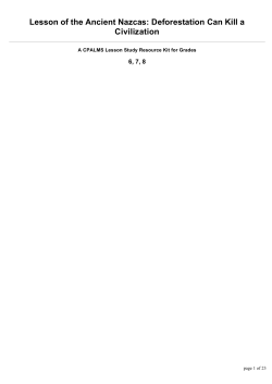 Lesson of the Ancient Nazcas: Deforestation Can Kill a Civilization