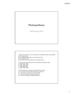 Photosynthesis