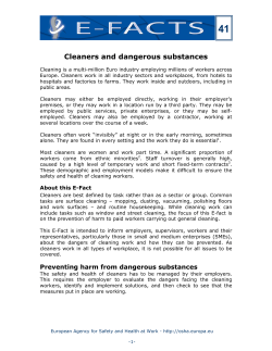 E-fact 41: Cleaners and dangerous substances