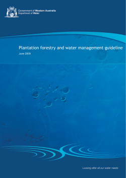 Plantation forestry and water management guideline