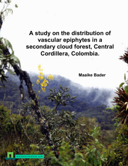 A study on the distribution of vascular epiphytes in a