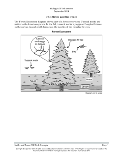 The Moths and the Trees